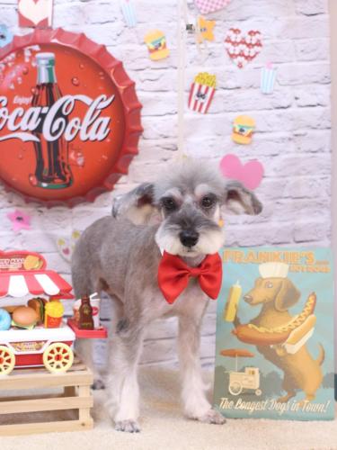 20230930ラーラちゃん